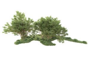 tropical forêt isolé sur transparent Contexte. 3d le rendu - illustration png