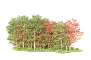 tropisch Wald isoliert auf transparent Hintergrund. 3d Rendern - - Illustration png