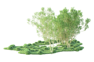 Tropical forest isolated on transparent background. 3d rendering - illustration png