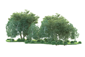 Tropical forest isolated on transparent background. 3d rendering - illustration png