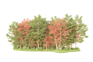 tropisch Wald isoliert auf transparent Hintergrund. 3d Rendern - - Illustration png