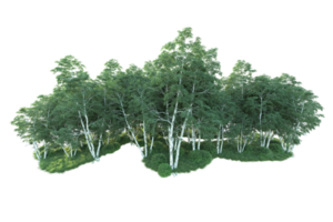 Tropical forest isolated on transparent background. 3d rendering - illustration png