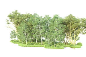 Tropical forest isolated on transparent background. 3d rendering - illustration png