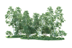 Tropical forest isolated on transparent background. 3d rendering - illustration png