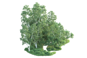 tropisk skog isolerat på transparent bakgrund. 3d tolkning - illustration png