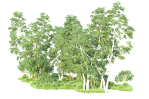 tropisch Wald isoliert auf transparent Hintergrund. 3d Rendern - - Illustration png