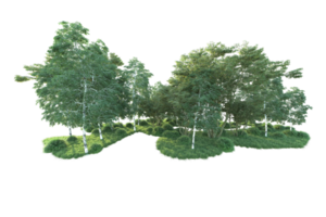 Tropical forest isolated on transparent background. 3d rendering - illustration png