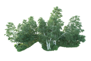 tropisk skog isolerat på transparent bakgrund. 3d tolkning - illustration png