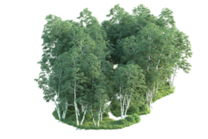 tropisk skog isolerat på transparent bakgrund. 3d tolkning - illustration png