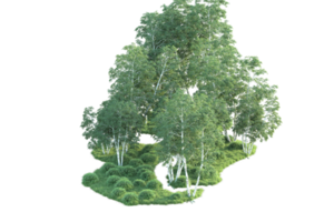 tropical forêt isolé sur transparent Contexte. 3d le rendu - illustration png