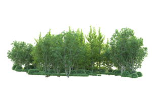 tropisch Wald isoliert auf transparent Hintergrund. 3d Rendern - - Illustration png