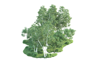 tropisch Wald isoliert auf transparent Hintergrund. 3d Rendern - - Illustration png