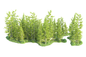 tropisch Wald isoliert auf transparent Hintergrund. 3d Rendern - - Illustration png