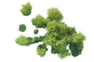 Tropical forest isolated on transparent background. 3d rendering - illustration png