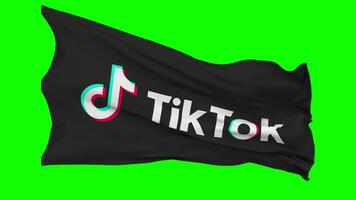 Tiktok Flag Waving Seamless Loop in Wind, Chroma Key Green Screen, Luma Matte Selection video