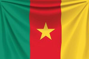 back flag cameroon vector