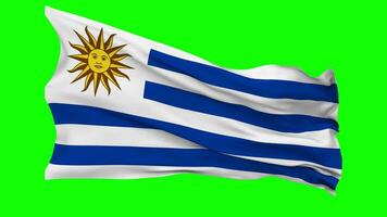 Uruguay Flag Waving Seamless Loop in Wind, Chroma Key Green Screen, Luma Matte Selection video