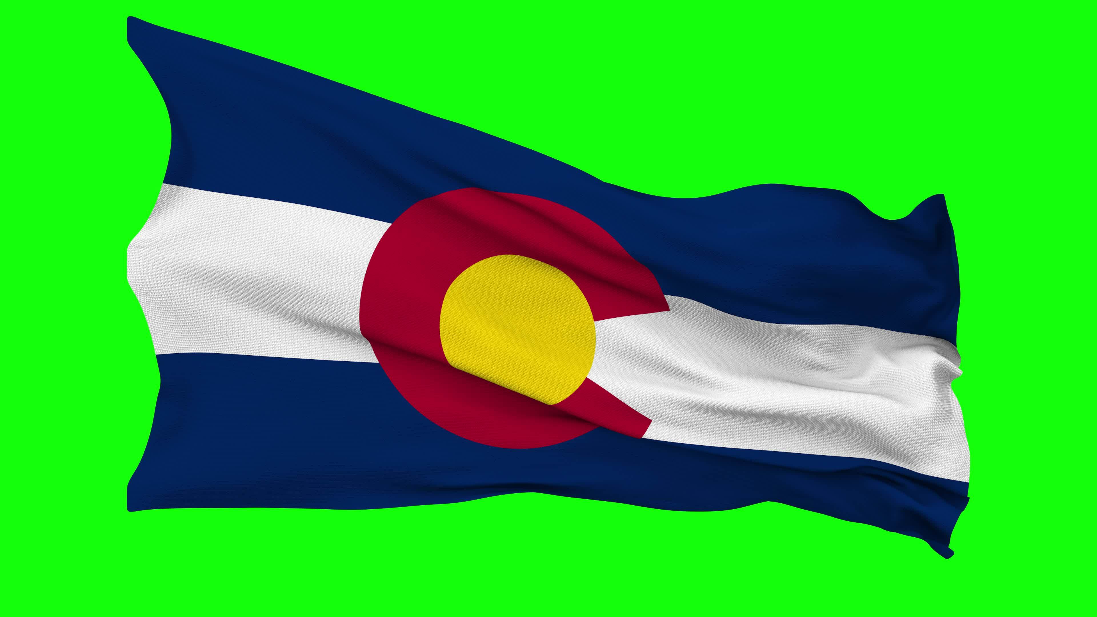 Green/Gold Colorado State University Rams Car Flag - CSU