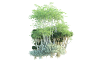 tropical floresta isolado em transparente fundo. 3d Renderização - ilustração png