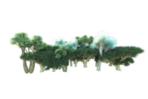 Tropical forest isolated on transparent background. 3d rendering - illustration png