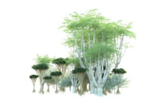 Tropical forest isolated on transparent background. 3d rendering - illustration png