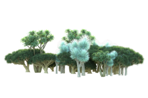 Tropical forest isolated on transparent background. 3d rendering - illustration png