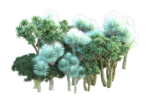 tropical forêt isolé sur transparent Contexte. 3d le rendu - illustration png