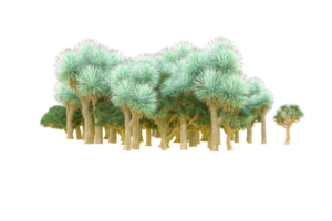 tropical forêt isolé sur transparent Contexte. 3d le rendu - illustration png