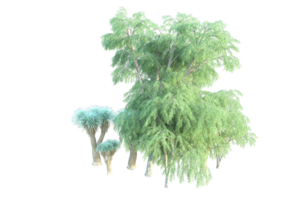 Tropical forest isolated on transparent background. 3d rendering - illustration png