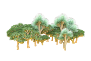 Tropical forest isolated on transparent background. 3d rendering - illustration png