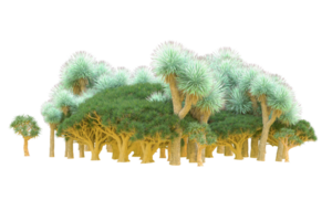 tropical forêt isolé sur transparent Contexte. 3d le rendu - illustration png