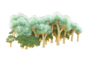 Tropical forest isolated on transparent background. 3d rendering - illustration png