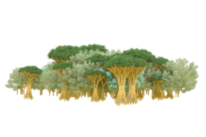 tropical bosque aislado en transparente antecedentes. 3d representación - ilustración png