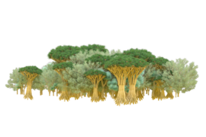 tropical forêt isolé sur transparent Contexte. 3d le rendu - illustration png