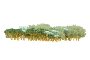 tropical bosque aislado en transparente antecedentes. 3d representación - ilustración png