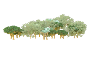 Tropical forest isolated on transparent background. 3d rendering - illustration png