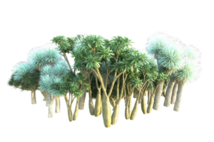 tropicale foresta isolato su trasparente sfondo. 3d interpretazione - illustrazione png