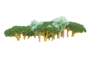 Tropical forest isolated on transparent background. 3d rendering - illustration png