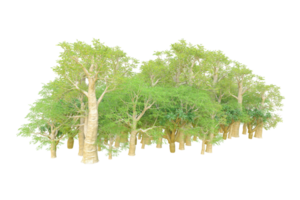 Tropical forest isolated on transparent background. 3d rendering - illustration png