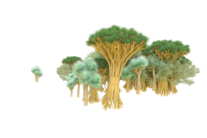 tropical forêt isolé sur transparent Contexte. 3d le rendu - illustration png