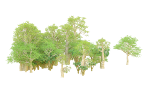 tropisch Wald isoliert auf transparent Hintergrund. 3d Rendern - - Illustration png