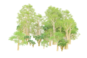 tropical forêt isolé sur transparent Contexte. 3d le rendu - illustration png