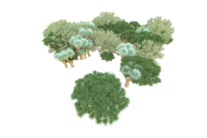 Tropical forest isolated on transparent background. 3d rendering - illustration png