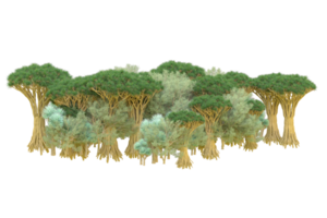 Tropical forest isolated on transparent background. 3d rendering - illustration png