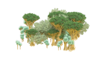 tropical forêt isolé sur transparent Contexte. 3d le rendu - illustration png