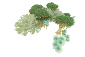 Tropical forest isolated on transparent background. 3d rendering - illustration png