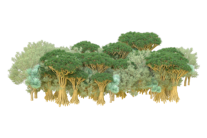 Tropical forest isolated on transparent background. 3d rendering - illustration png