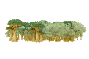 Tropical forest isolated on transparent background. 3d rendering - illustration png