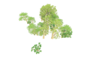 tropical forêt isolé sur transparent Contexte. 3d le rendu - illustration png