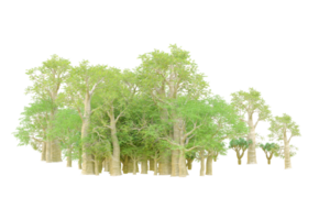 tropisch Wald isoliert auf transparent Hintergrund. 3d Rendern - - Illustration png